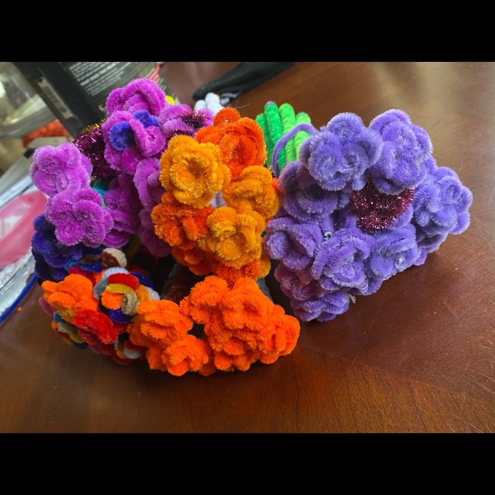 Roses all different colors